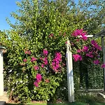Hermes Grove Tatil Evi