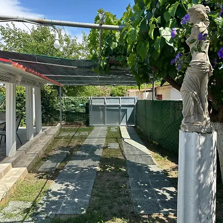 Hermes Grove