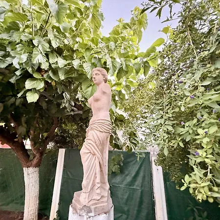 Hermes Grove