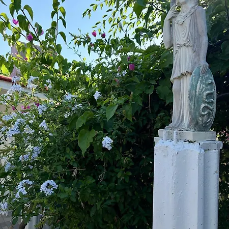 Hermes Grove *