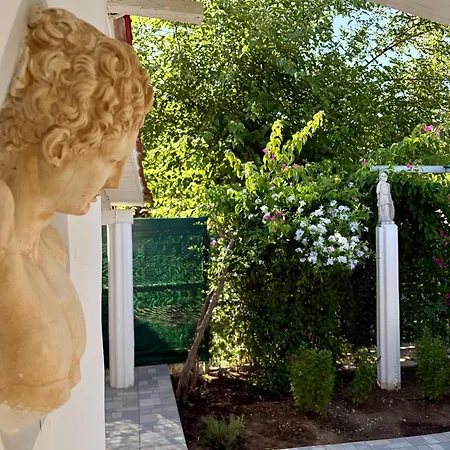 Hermes Grove * Katarrakhion