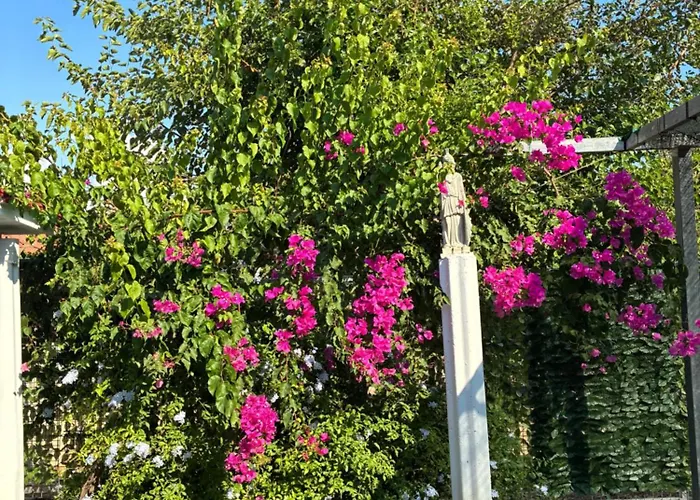 Hermes Grove Casa de Férias